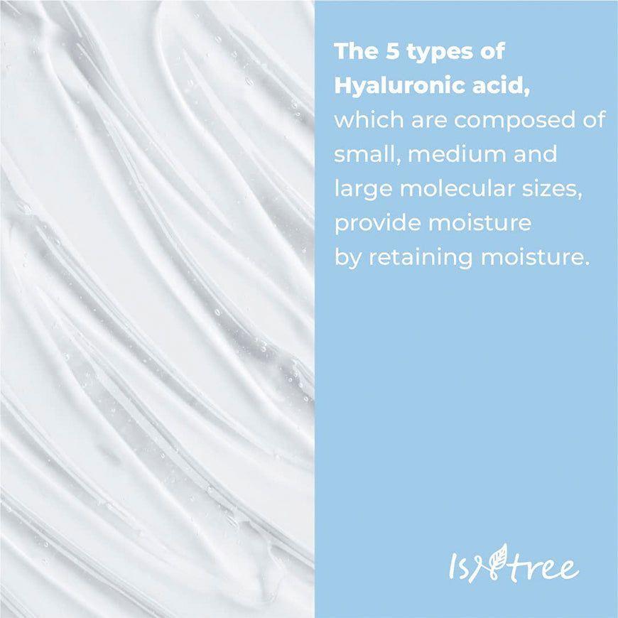 Isntree Mascarilla Facial Nocturna con Ácido Hialurónico Cosmética Coreana 100 ml-2