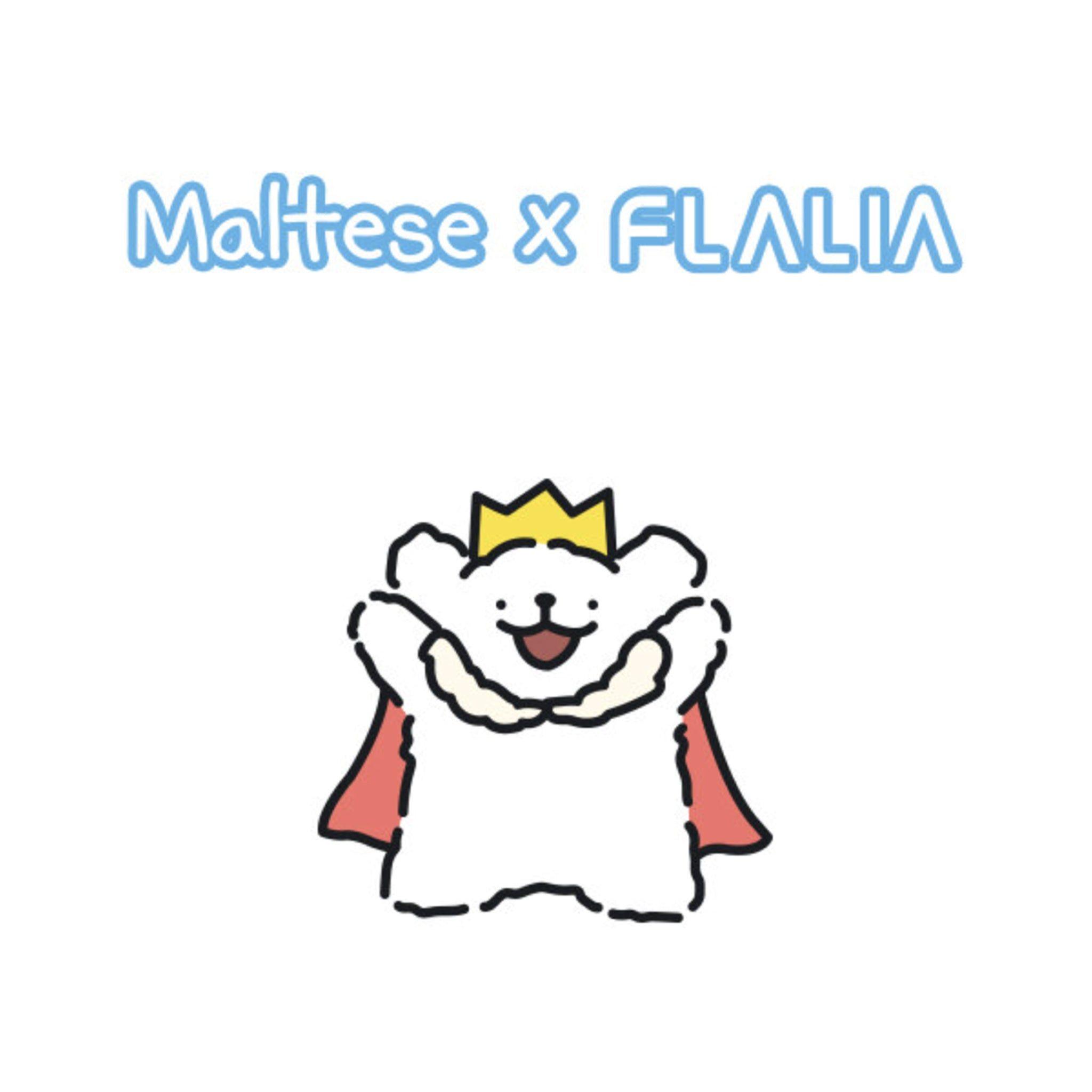 Esponjas Maquillaje Water Drop Maltese 2 Pack-3