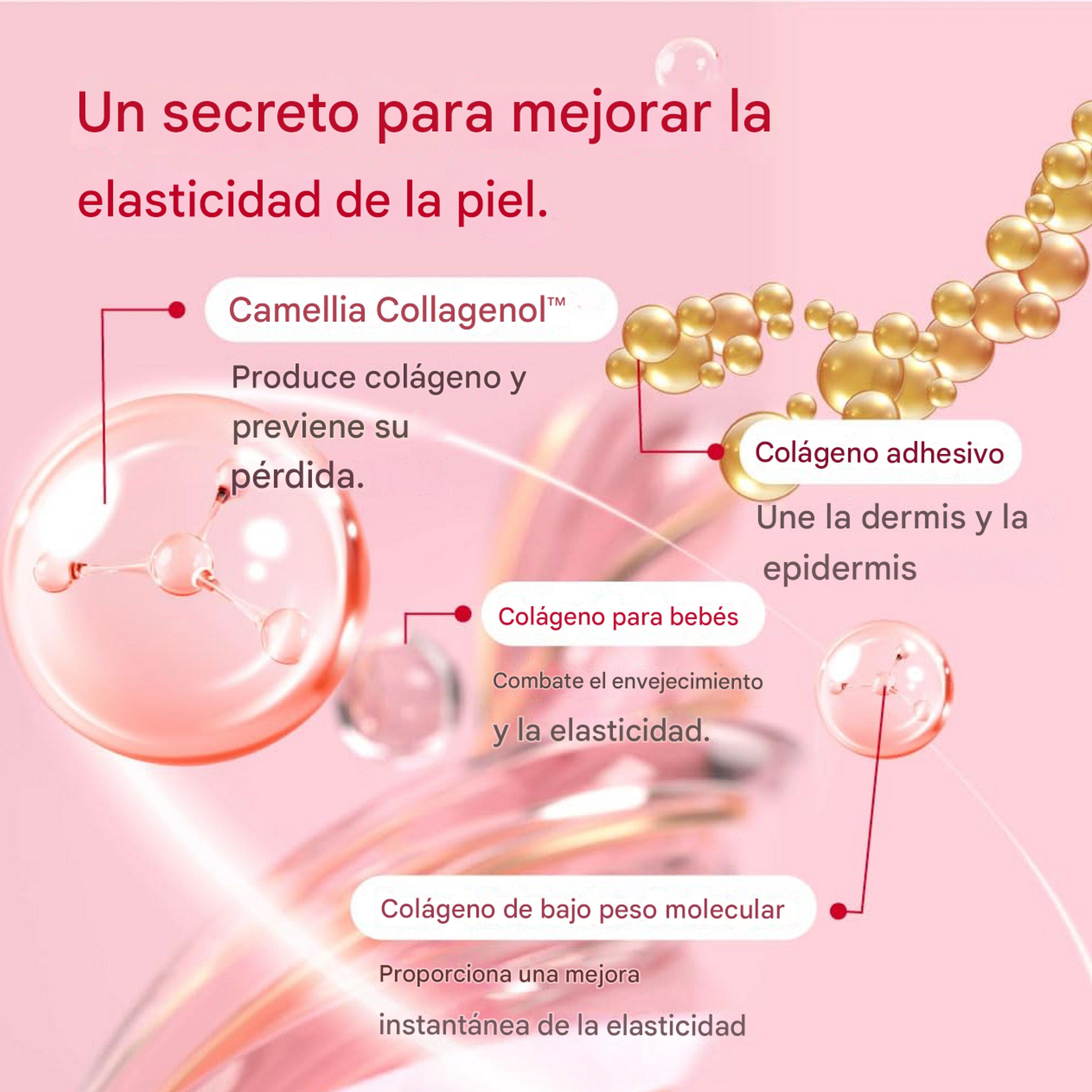 Camellia Deep Collagen Firming Cream 50ml-3