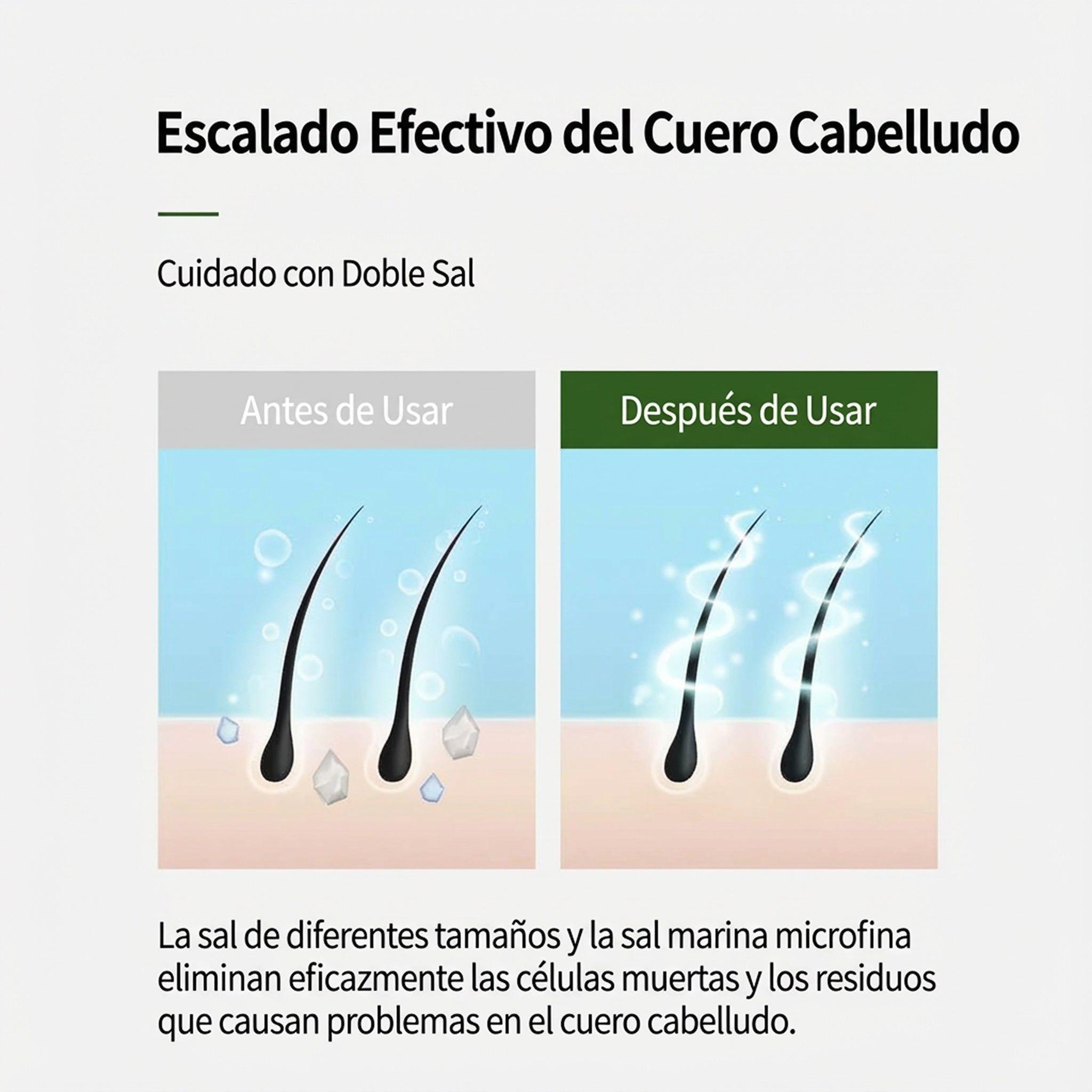 Exfoliante Capilar Para Cuero Cabelludo 200g - Herb Mint-4