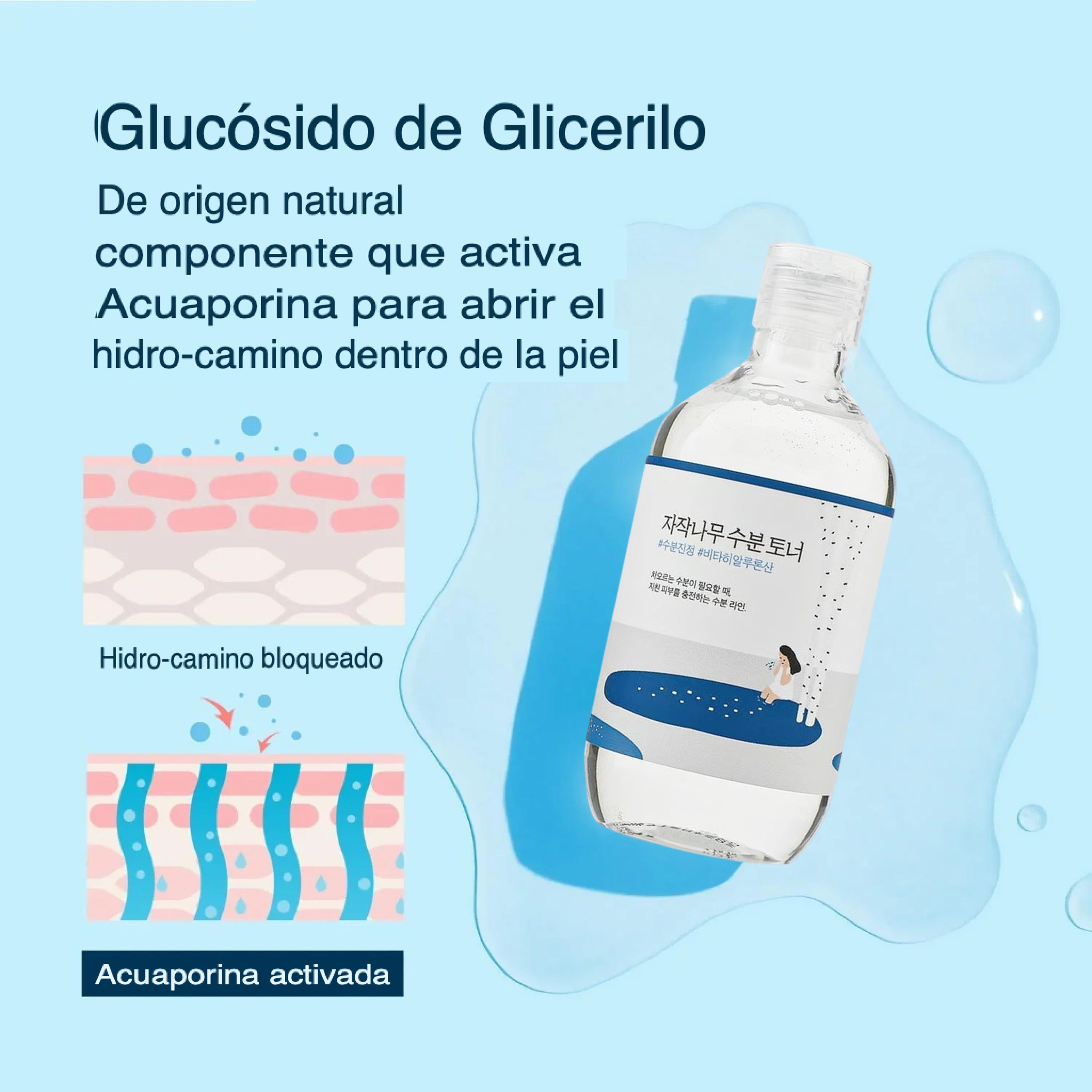 Round Lab Birch Juice Moisturizing Toner Tónico Hidratante Coreano 300ml-3