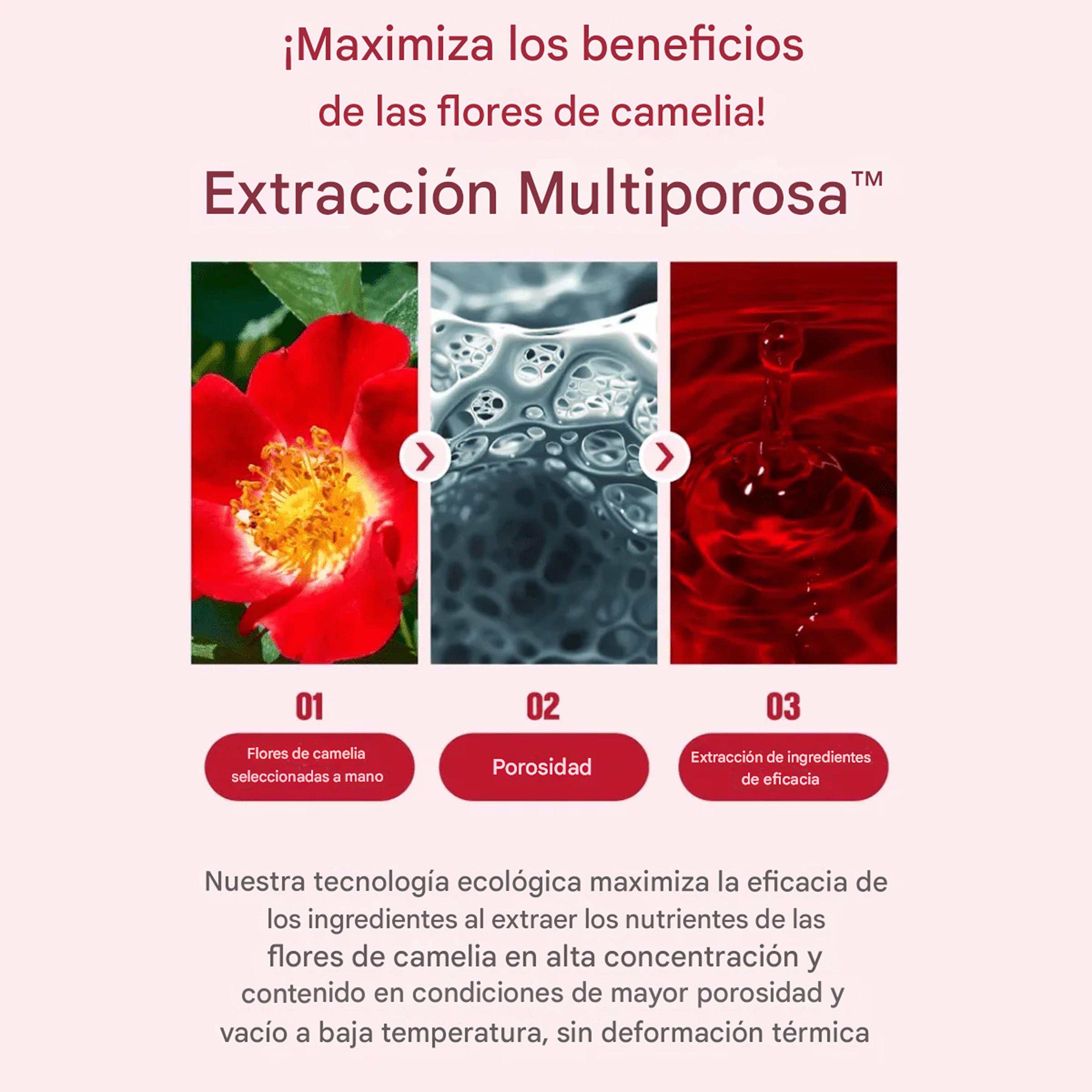 Camellia Deep Collagen Firming Ampoule Sérum Reafirmante Coreano 30ml-4