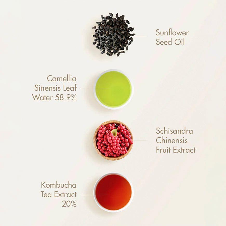 Vegan Kombucha Beginning Set-2