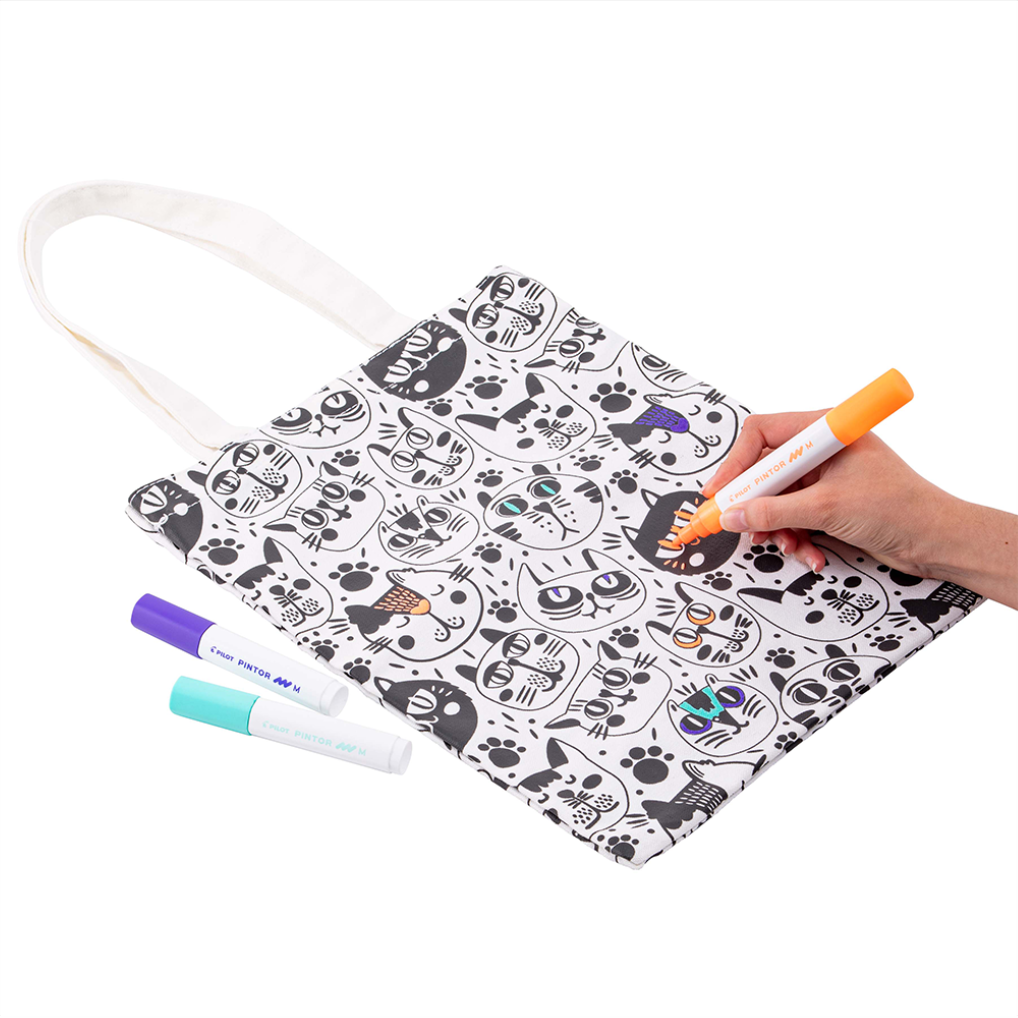 Bolsa Gatitos + 3 Pintor-2