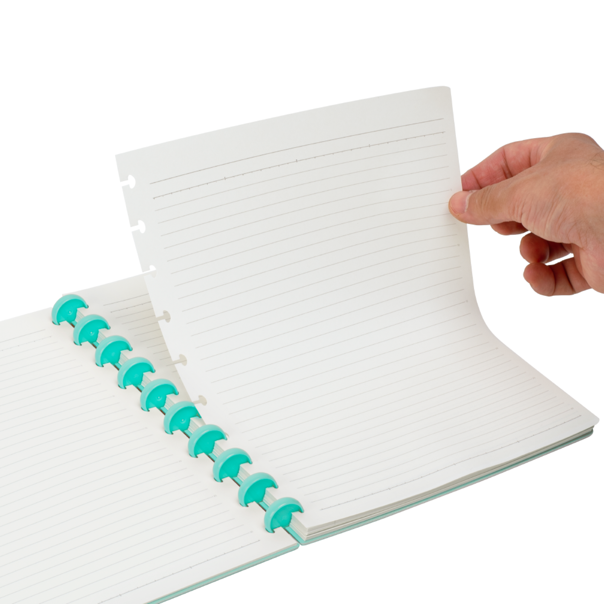 Cuaderno B5 c/ Pines Calipso Anillado-3