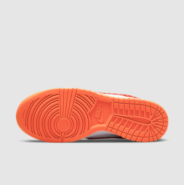 Zapatillas Nike Dunk Low Mujer Paisley-5