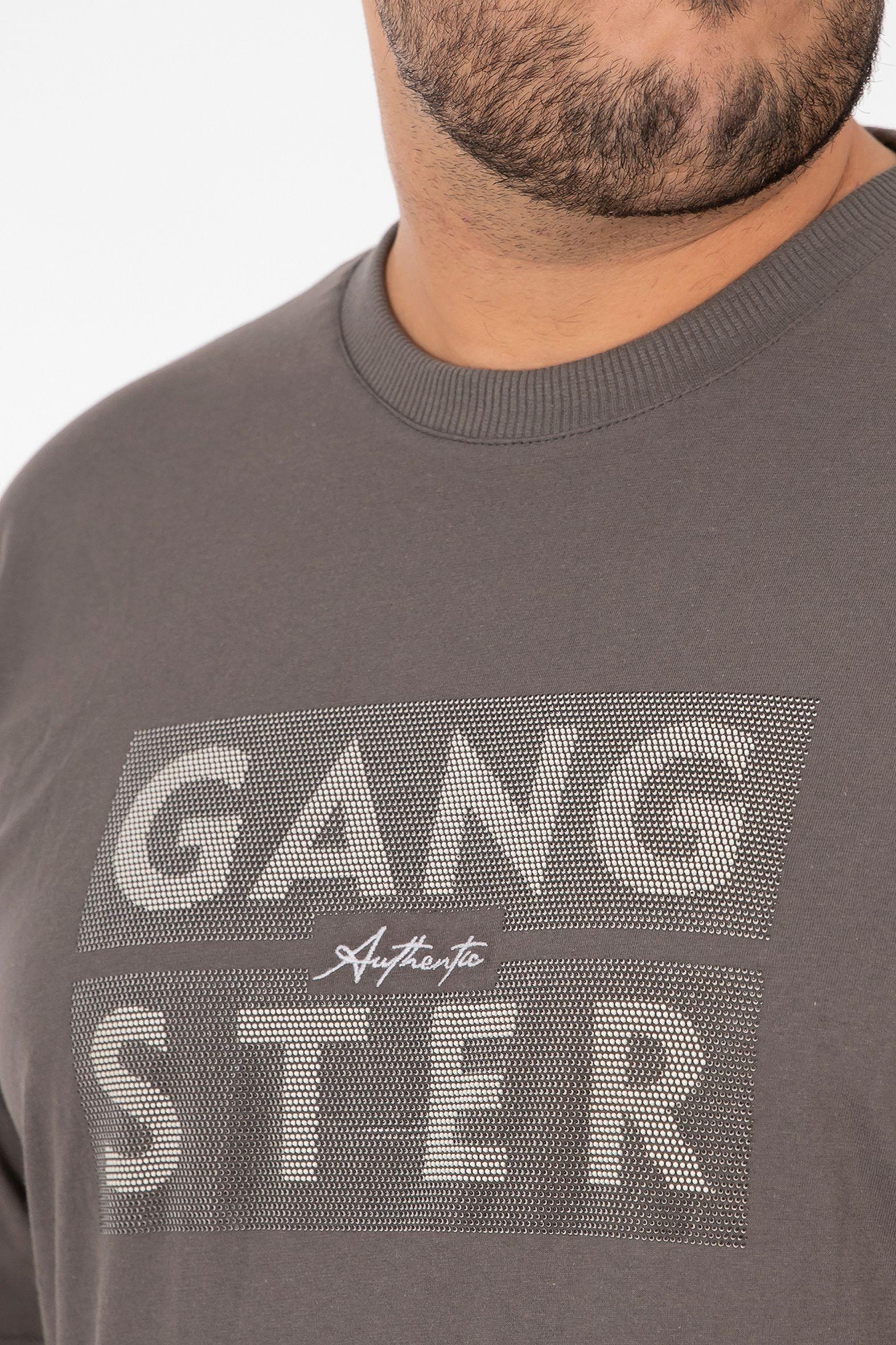 Plus Polera MC Basica Santa Gris-2