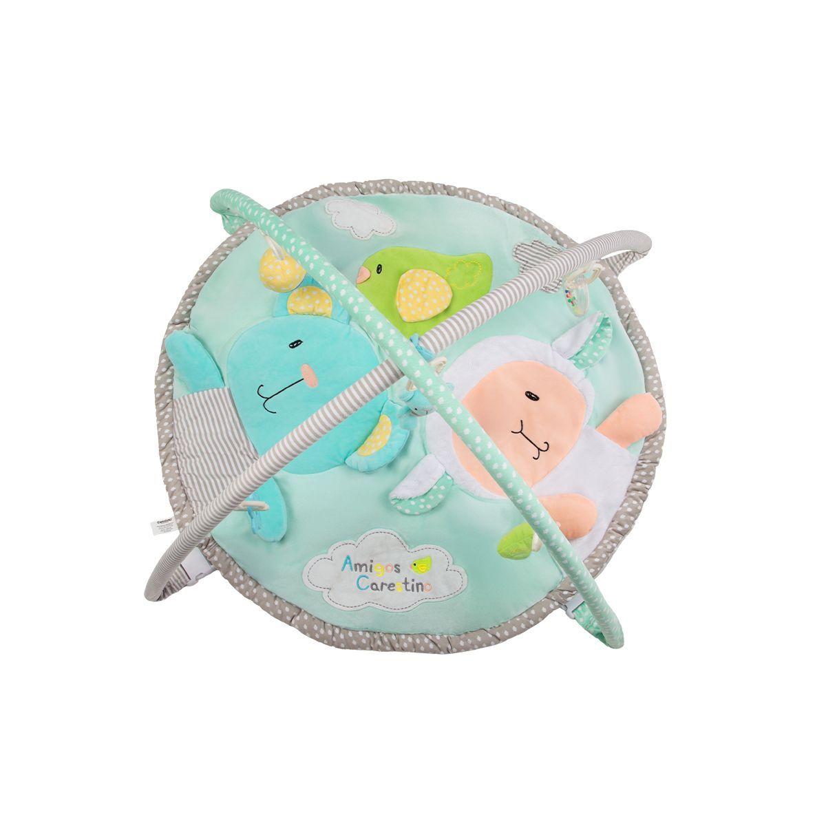 Gimnasio Didáctico Carestino Amigos Carestino-2