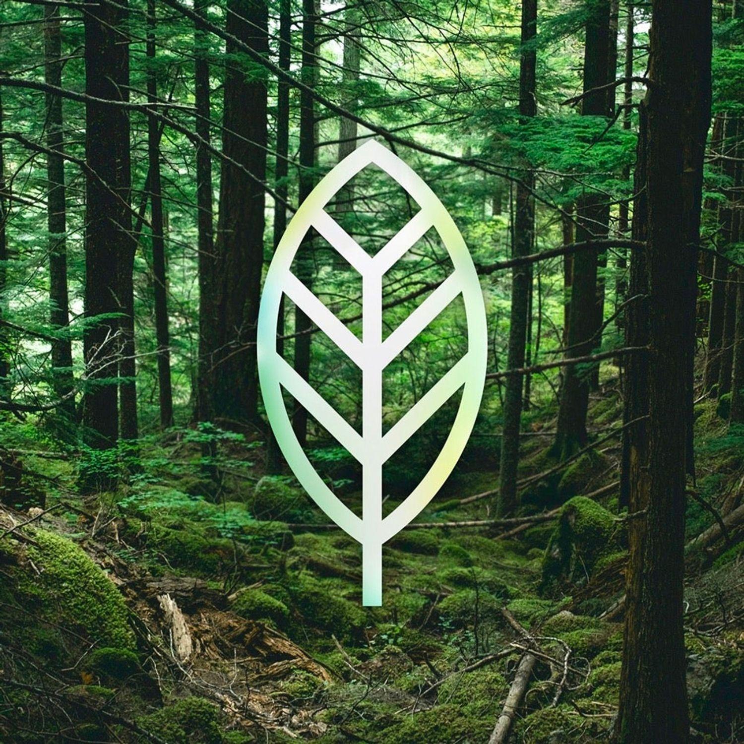 Lamina Glass Elite XTR3 con filtro azul iPhone 15 Pro Max-5