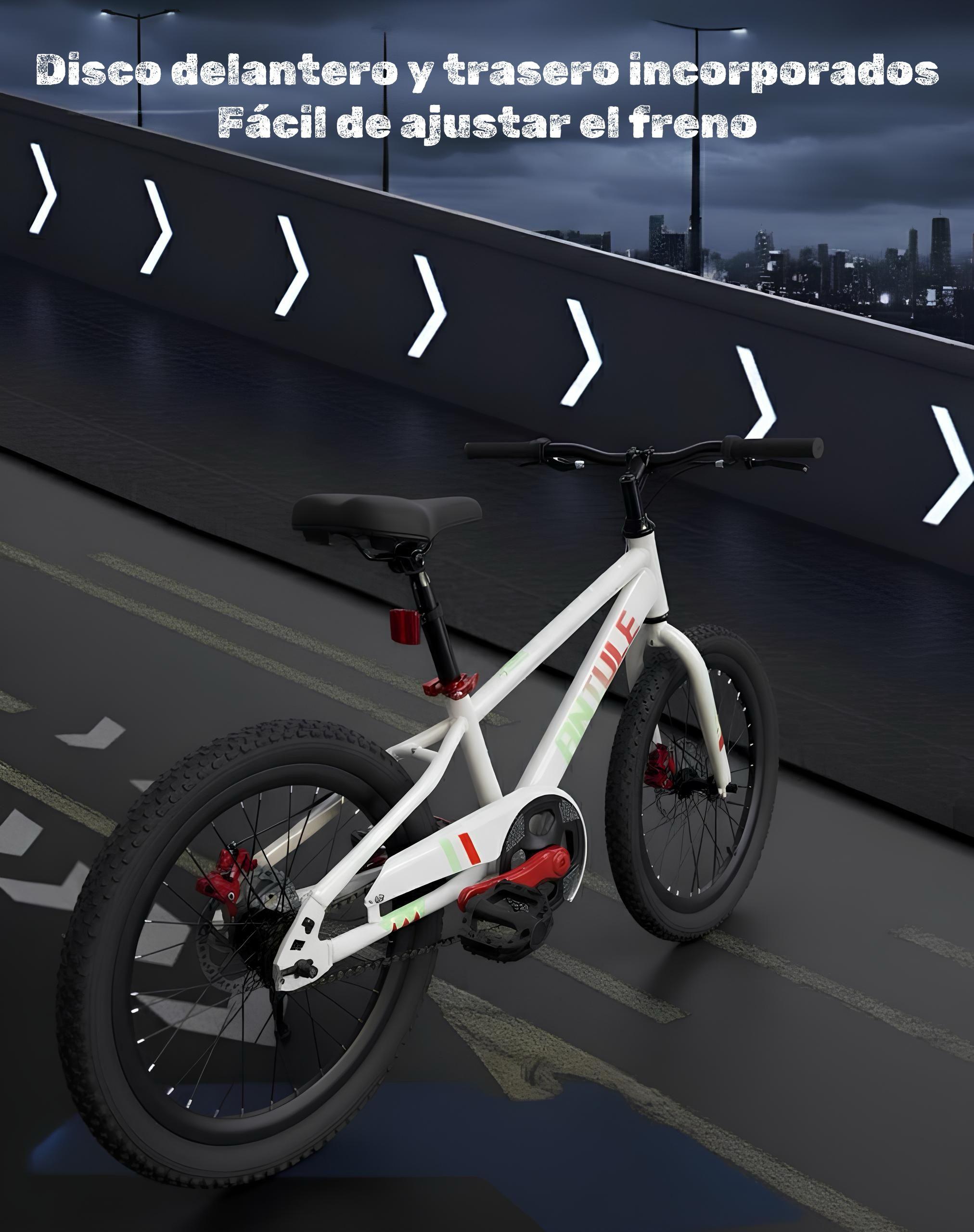 Bicicleta Infantil 6-9 Años Aro 18 Nexa LuBabycas-4