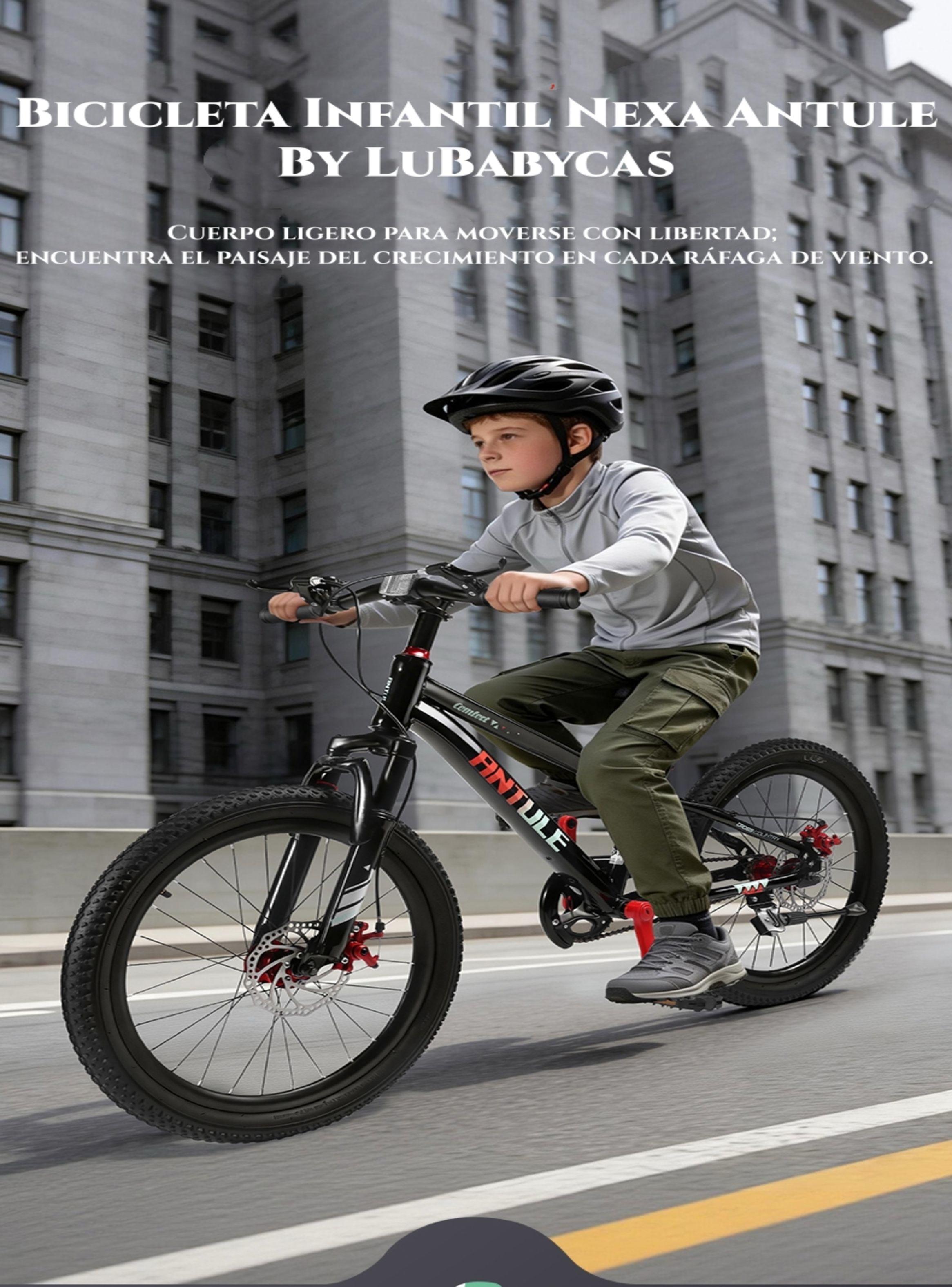 Bicicleta Infantil 6-9 Años Aro 18 Nexa LuBabycas-2