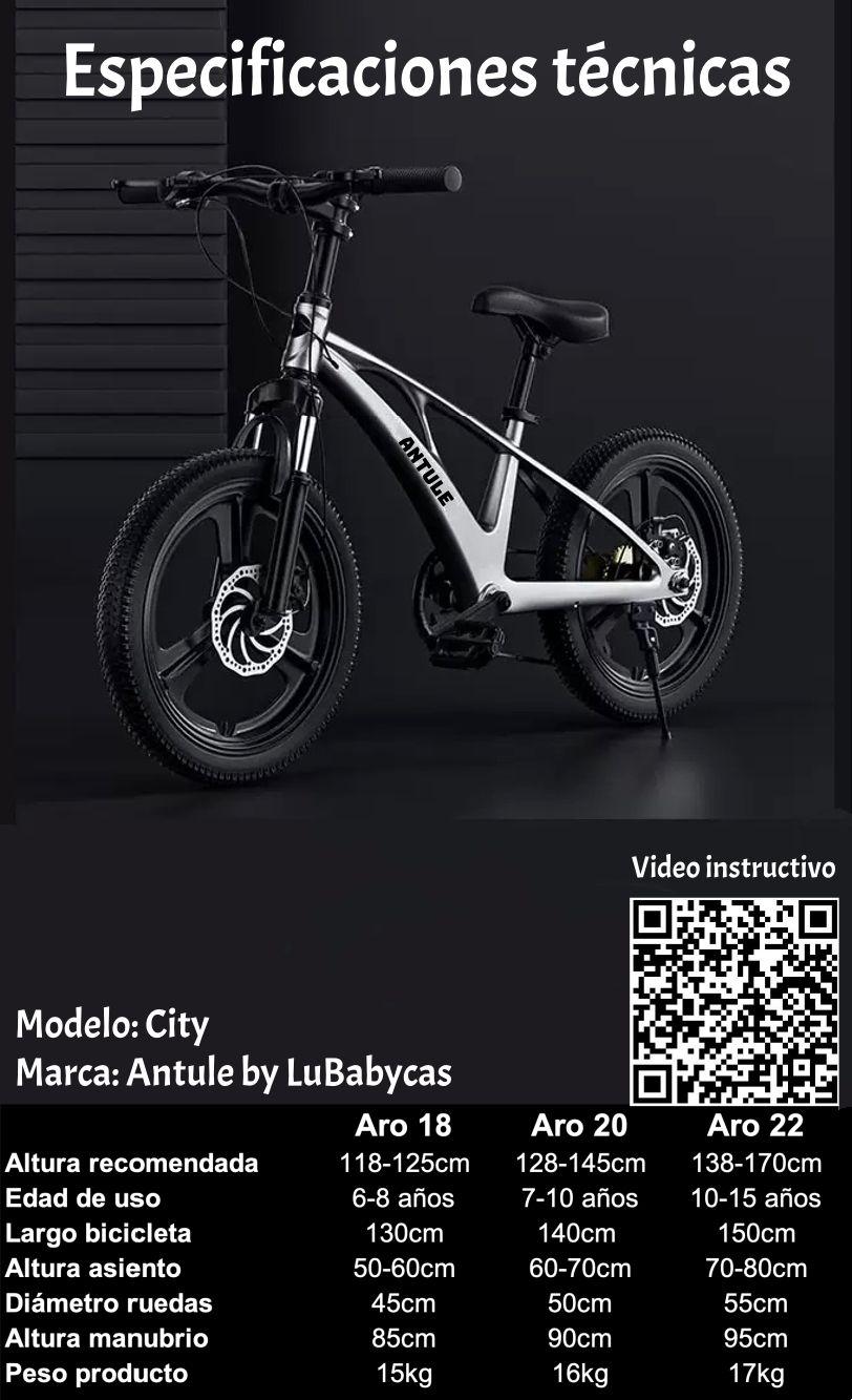 Bicicleta Infantil 7-10 Años Aro 20 City LuBabycas-6