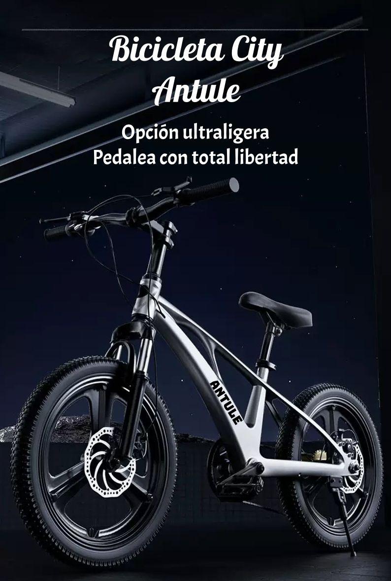 Bicicleta Infantil 10-15 Años Aro 22 City LuBabycas-1