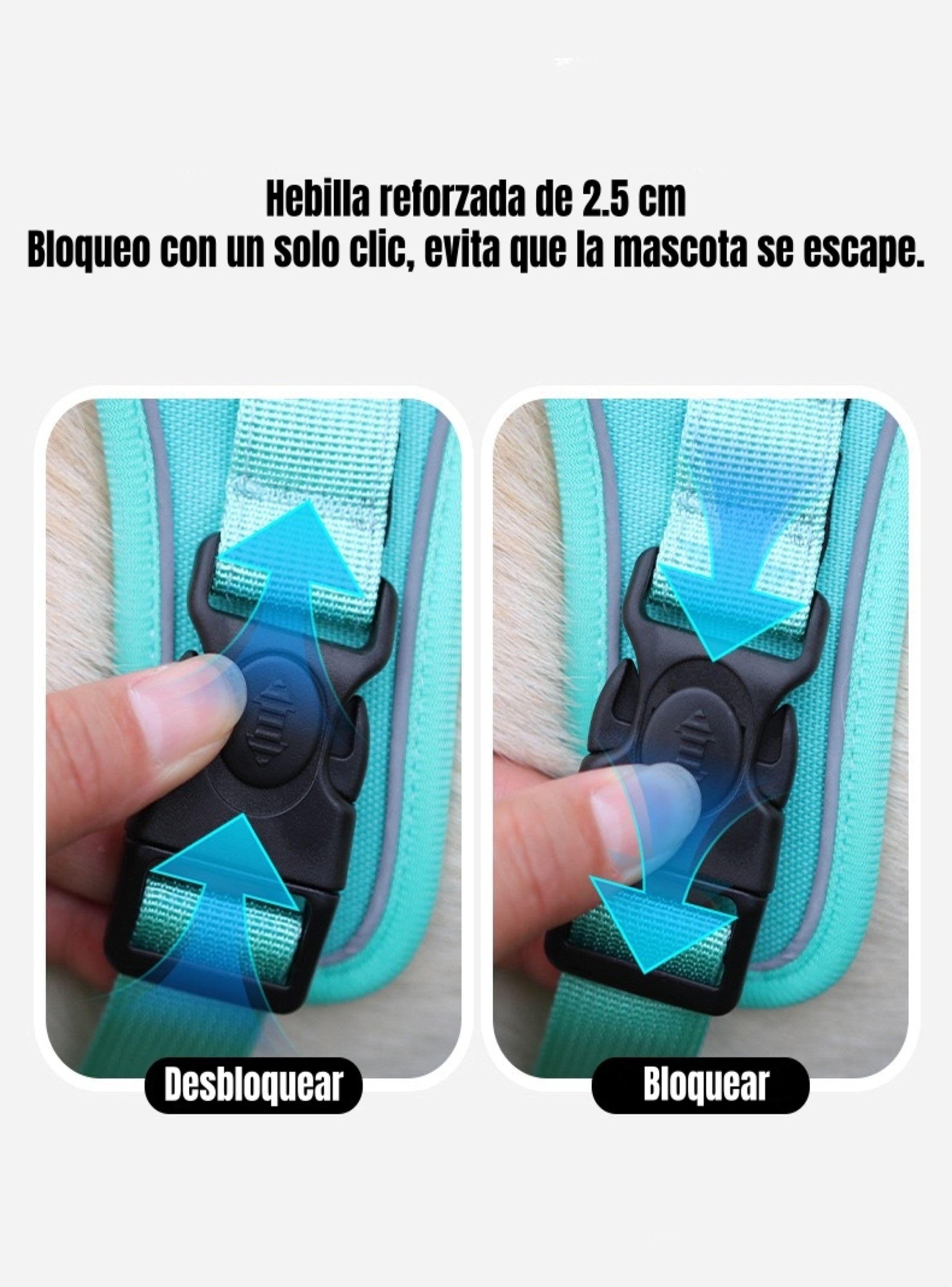 Arnés Para Perro Ajustable Con Correa 1,5M Reflectante Kayla-4