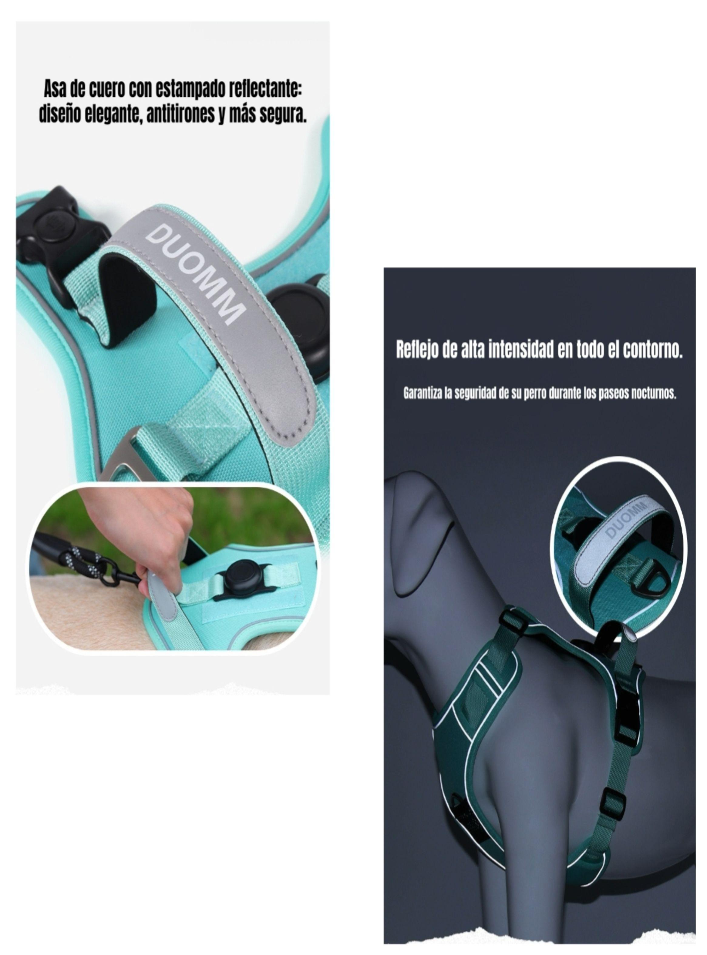 Arnés Para Perro Ajustable Con Correa 1,5M Reflectante Kayla-5