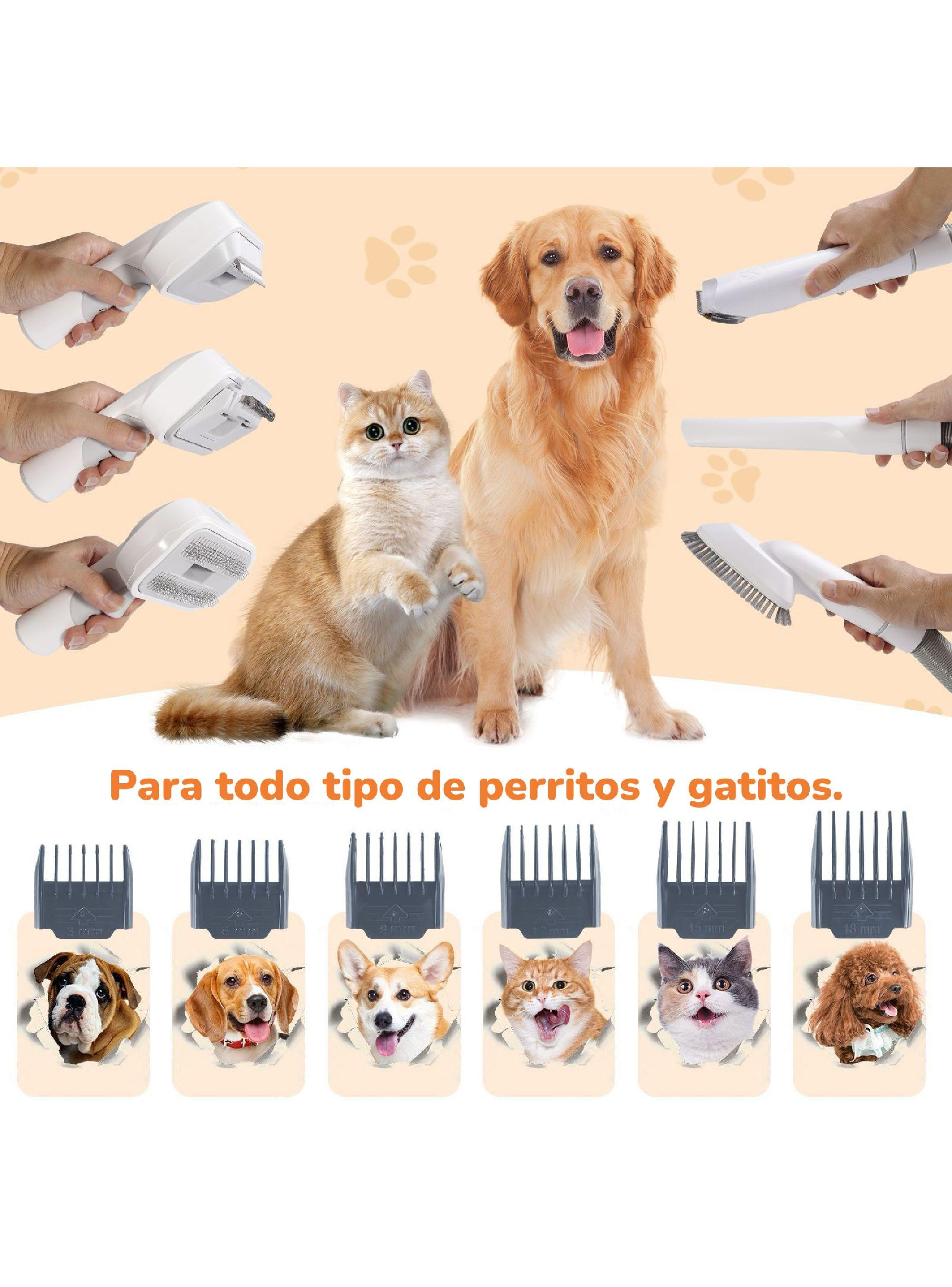 Kit Aseo Aspiradora Cortapelos Profesional 2 En 1 Mascotas-5