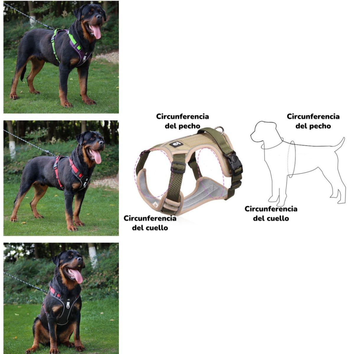 Arnés Para Perro Ajustable Con Correa Reflectantes Mimi M-3