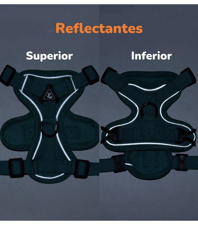 Arnés Para Perro Ajustable Con Correa Reflectantes L-6