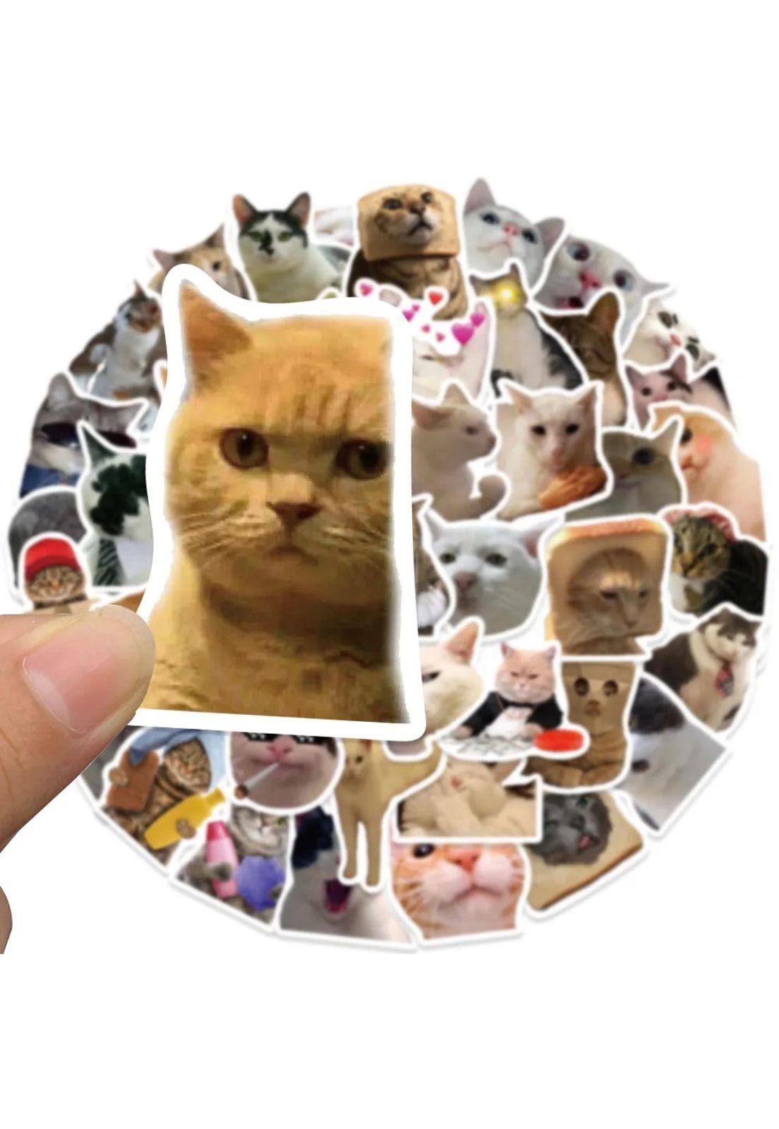 Pack 50 Sticker Gatitos Memes gatos Nekos-3
