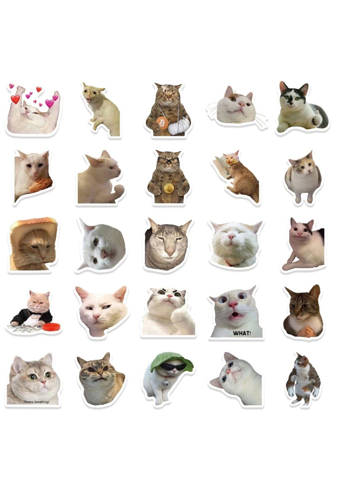 Pack 50 Sticker Gatitos Memes gatos Nekos-4