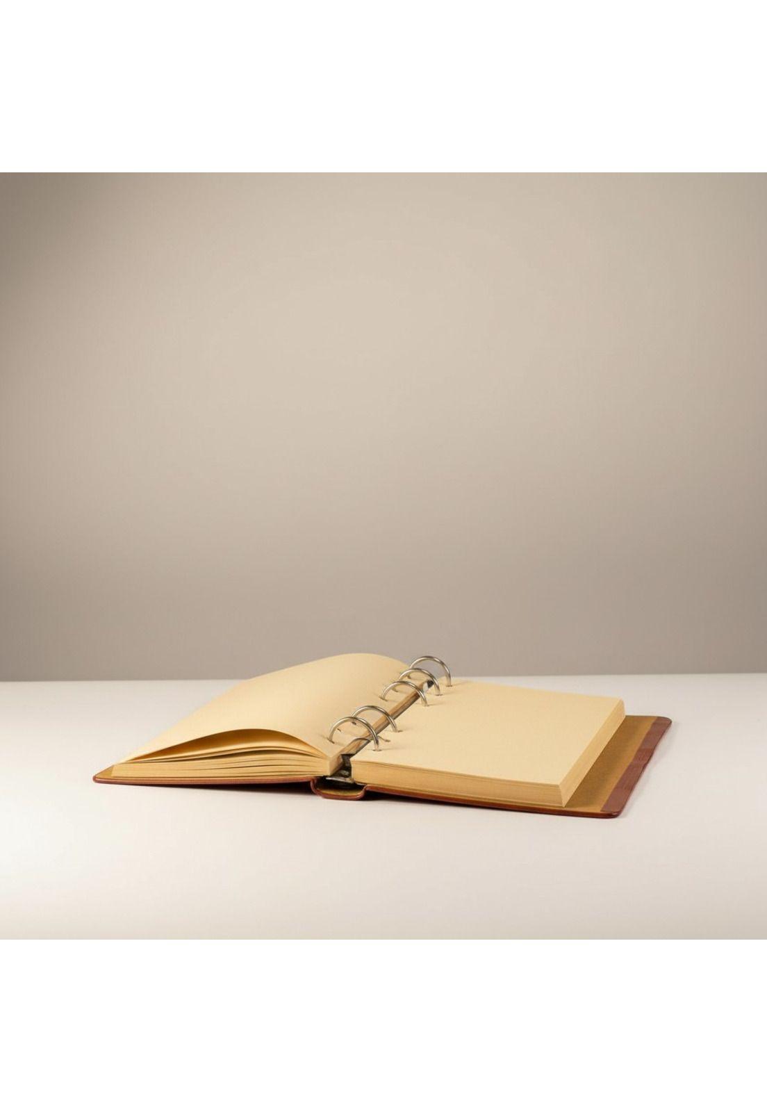 Libreta agenda  planner Delux Harry Potter Broche Snitch-2
