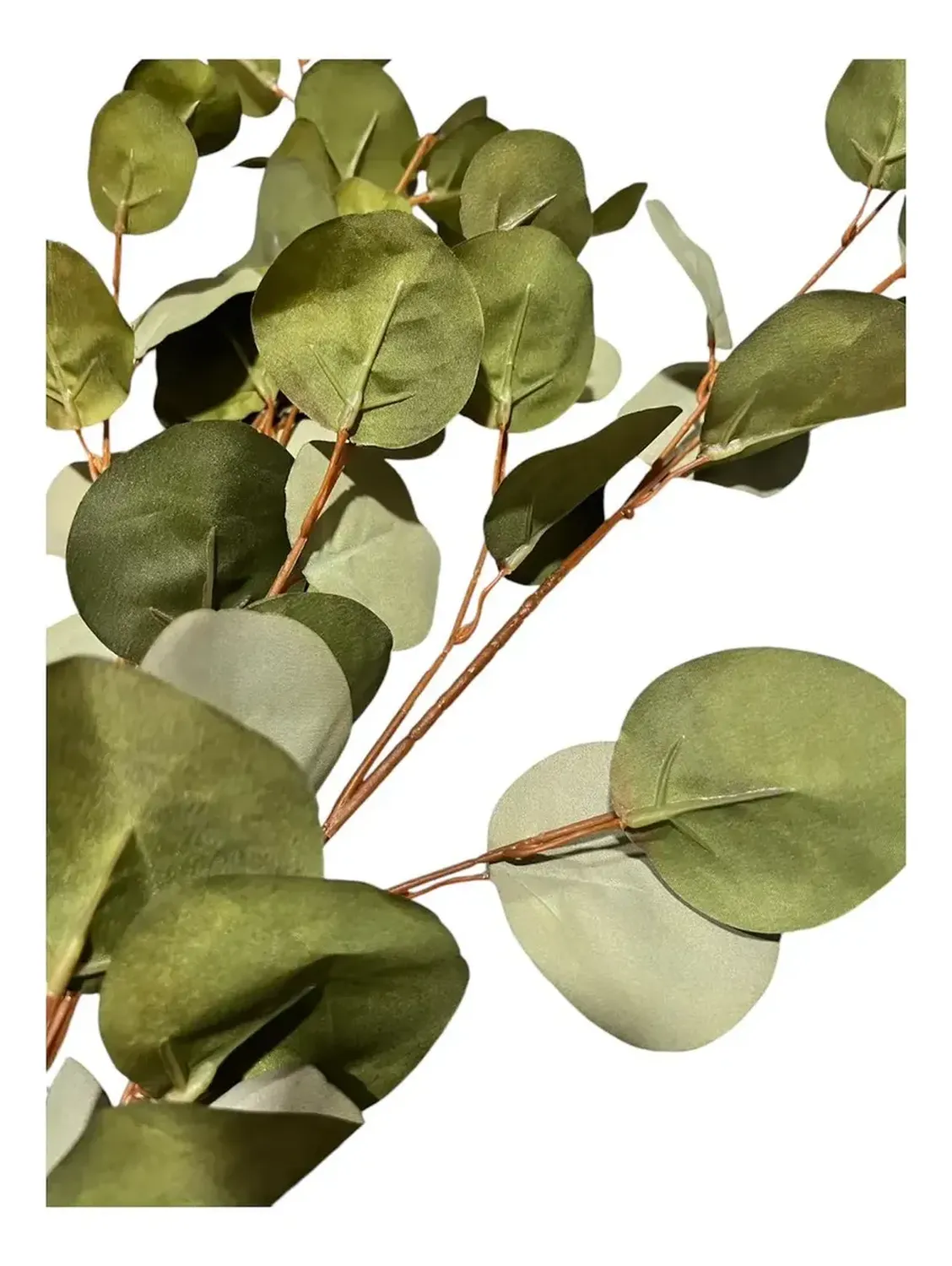 Flor Artificial Eucalipto Artificial Flor Decorativas 80cm-2