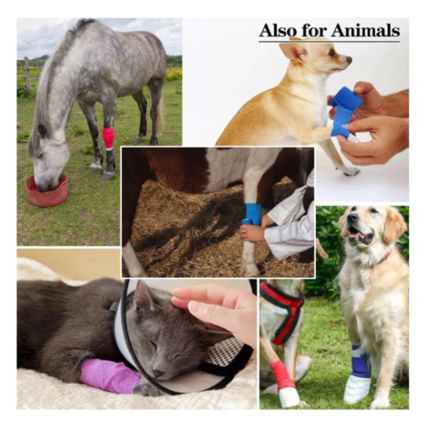 Venda Coban Elastica Cohesiva Autoadherible 692-6