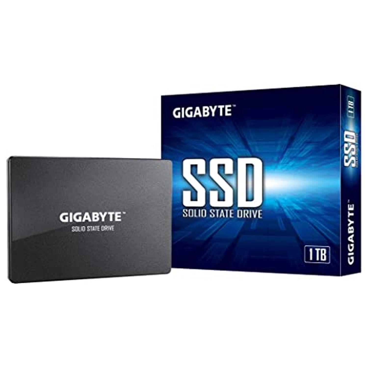 Disco Interno Gigabyte SSD 1TB GP-GSTFS31100TNTD-0