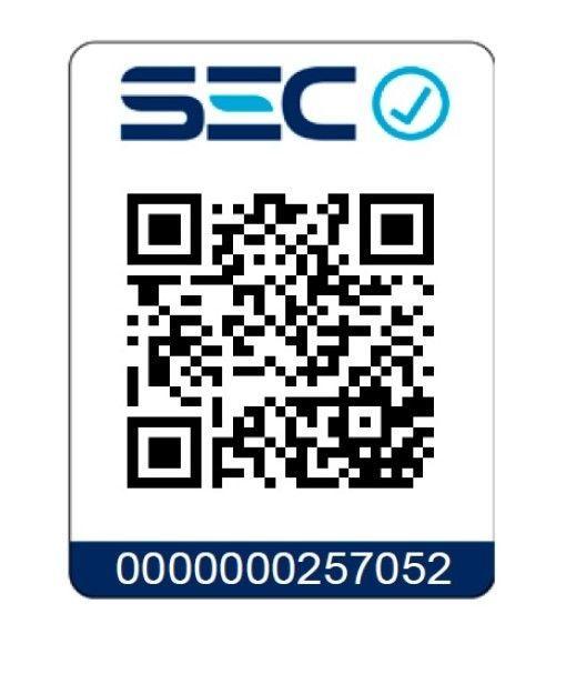 Calefactor De Ptc Kpt-001-1