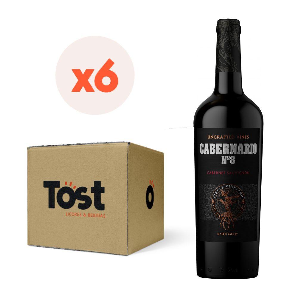 6x Vino Santa Rita Cabernario Cabernet Sauvignon 14° 750cc-0