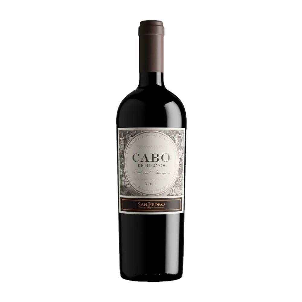 Vino Cabo de Hornos Cabernet Sauvignon 14.5° 750cc-0