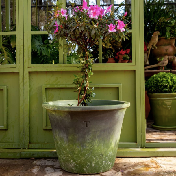 Macetero Tina rustica verde musgo XL-3