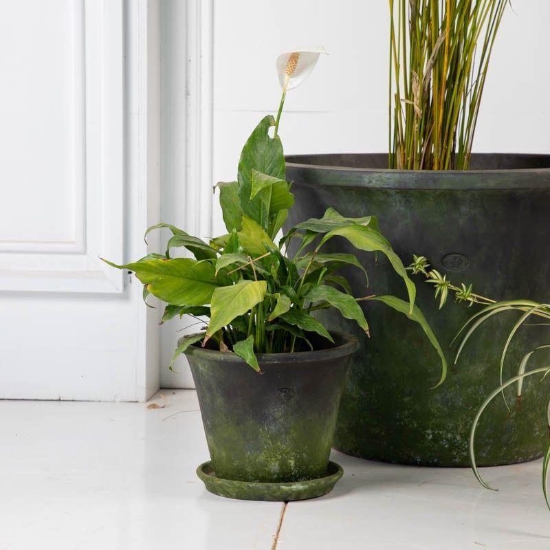 Macetero Tina rustica verde musgo M con plato-2