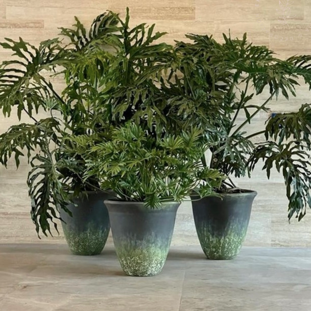 Macetero vaso acampanado XXL-2