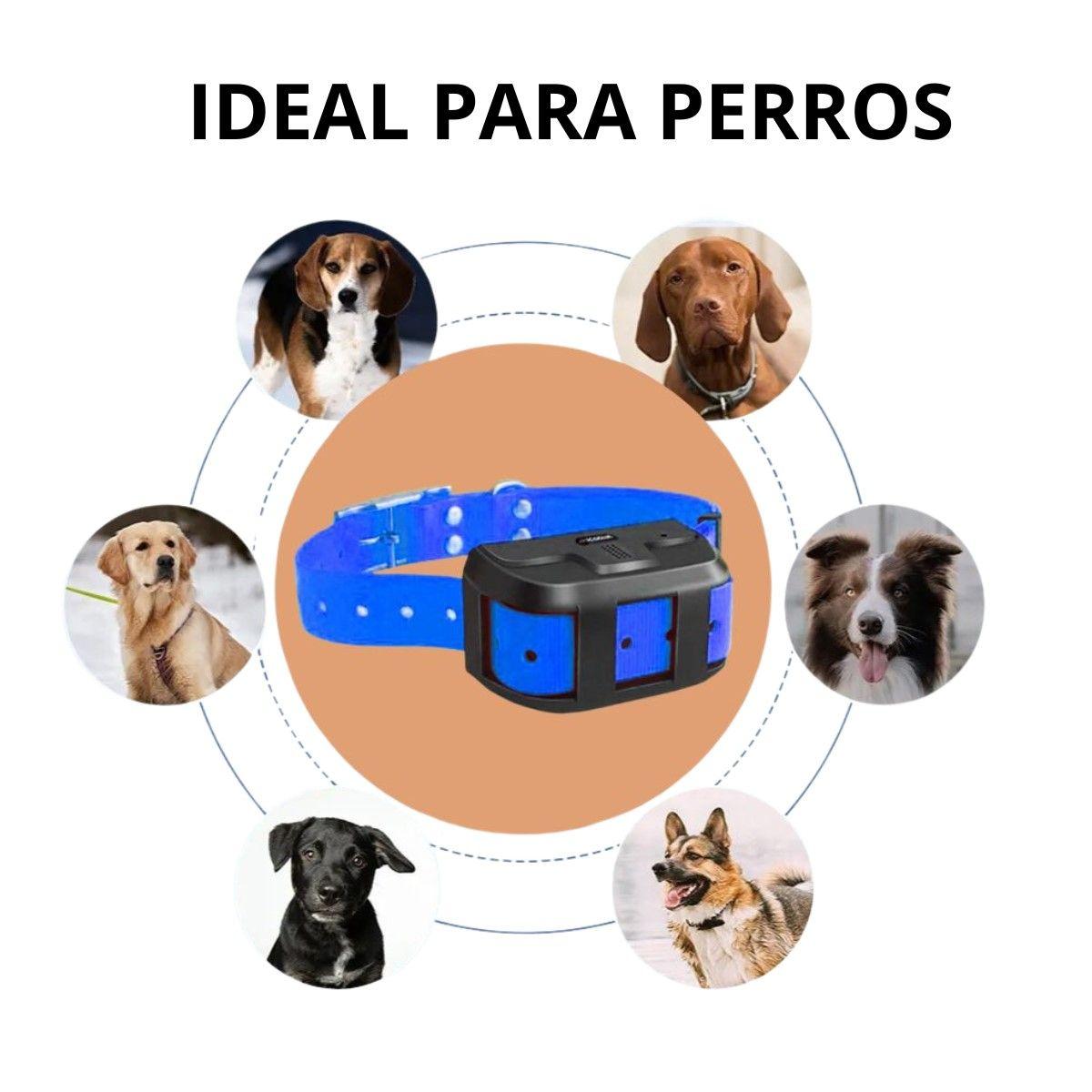 GPS 4G Rastreador Para Mascotas MP50G 4G 4000 mAh-1