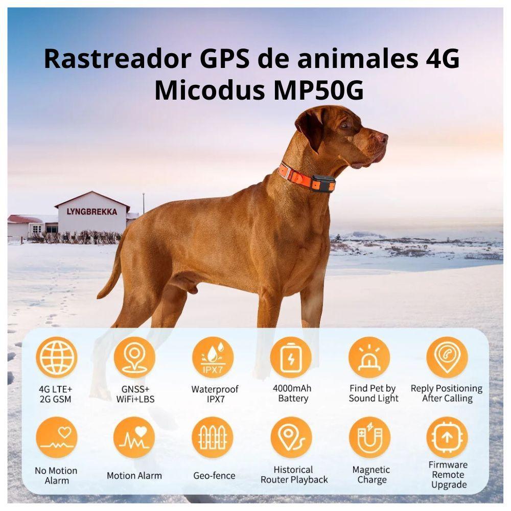GPS 4G Rastreador Para Mascotas MP50G 4G 4000 mAh-7