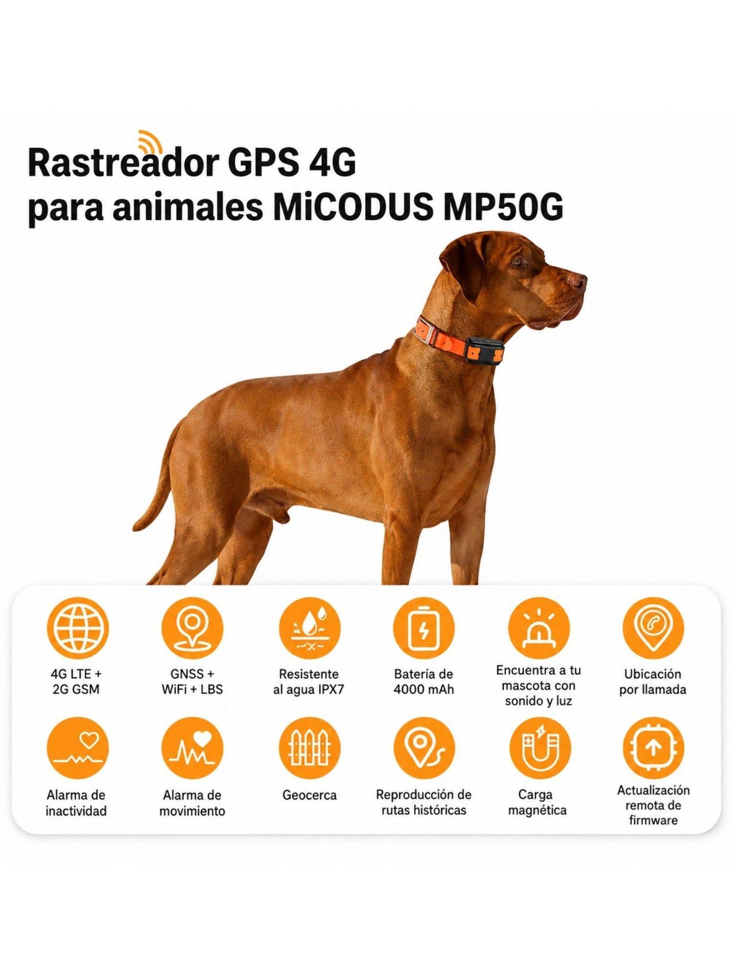 GPS 4G Rastreador Para Mascotas MP50G 4G 4000 mAh-3
