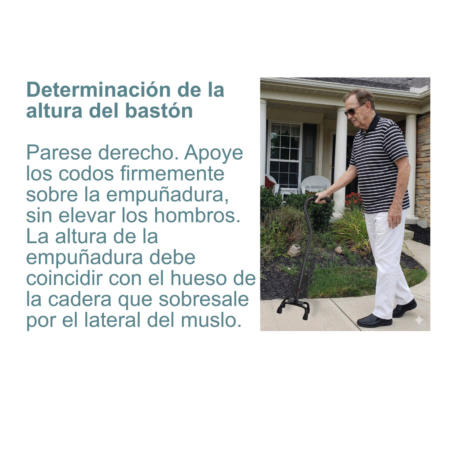 Bastón de apoyo cuatro patas-5