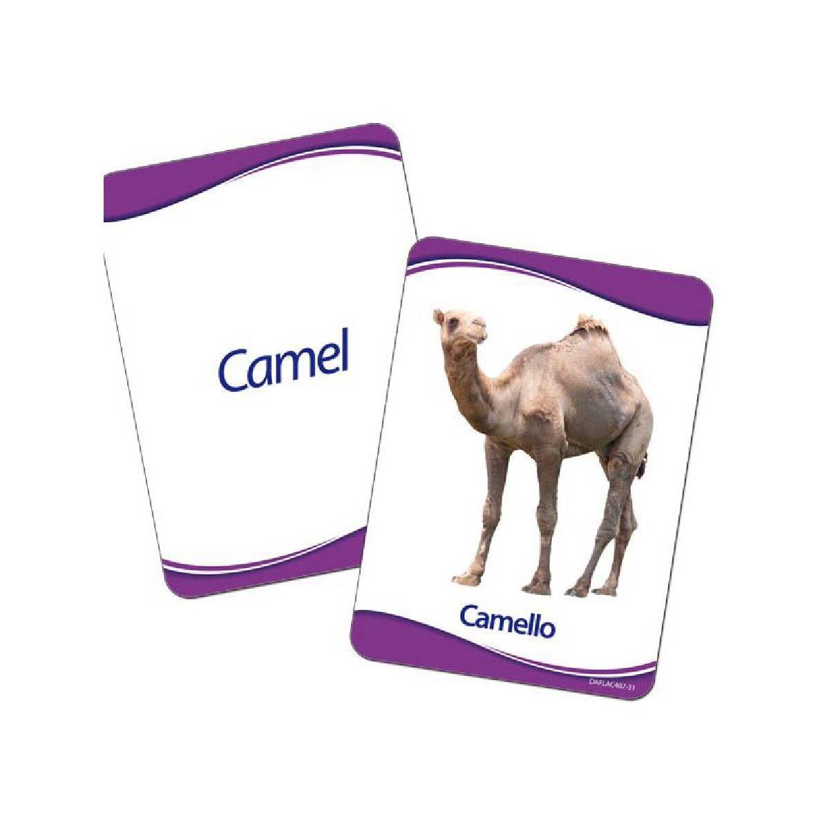 Lamina Animales-1