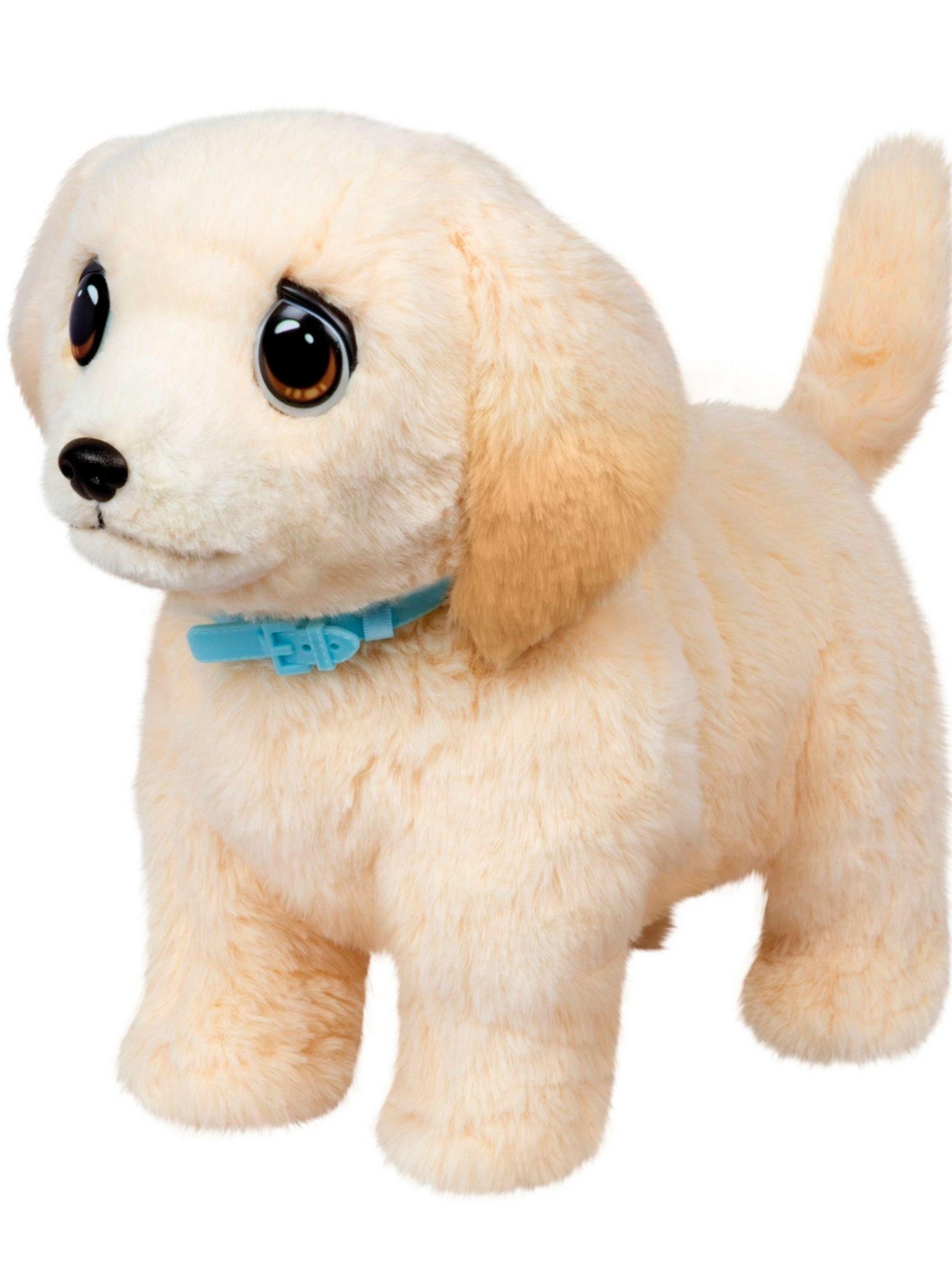 Little Live Pets Ouchies De Lujo Retriever-6