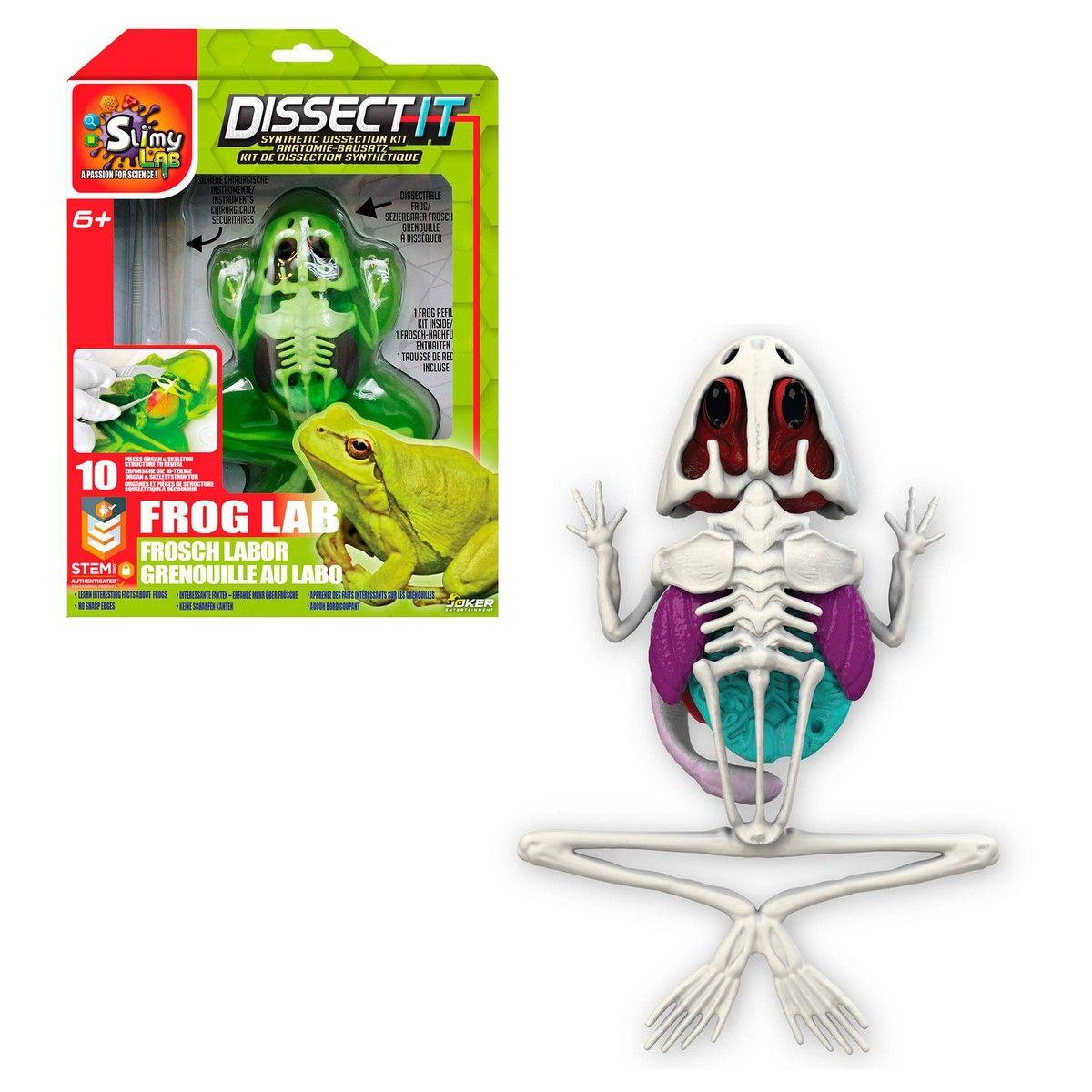 JUEGO DISECCION ESQUELETO CON SLIME FORMULA ORIGINAL - RANA-0