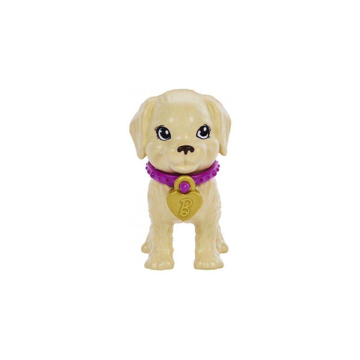 Barbie Set De Juego Adopta Un Perrito Latina-6