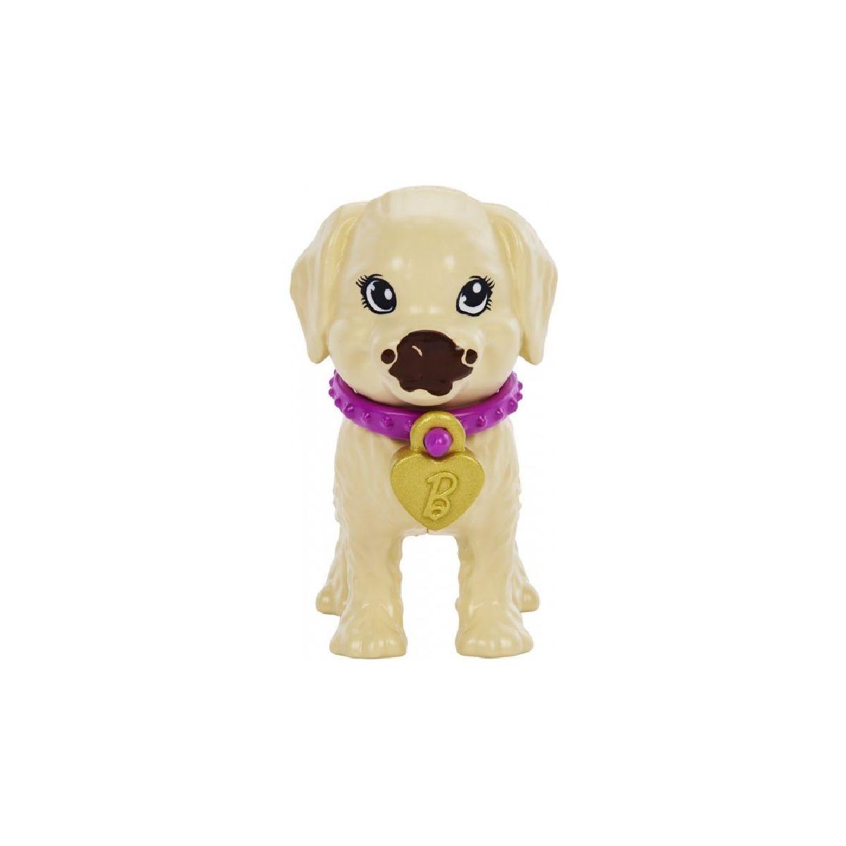 Barbie Set De Juego Adopta Un Perrito Latina-8