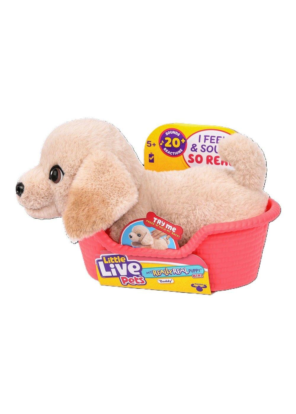 Little Live Pets S2 Cachorro Mini - Buddy-2