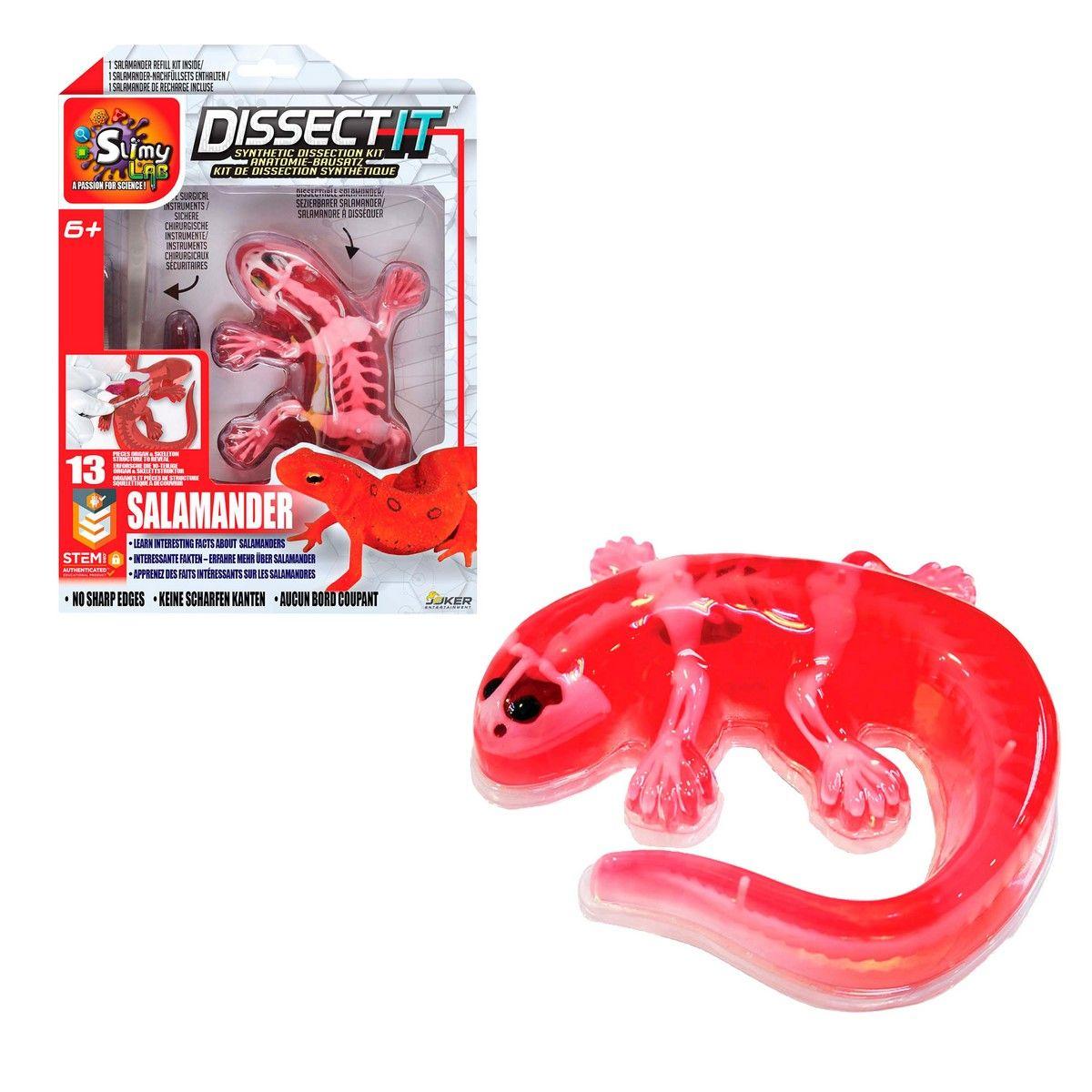 JUEGO DISECCION ESQUELETO CON SLIME FORMULA ORIGINAL - SALAMANDRA-1