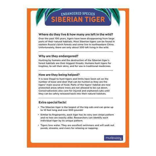 TIGRE SIBERIANO 300 PCS, PELIGRO DE EXTINCION-3