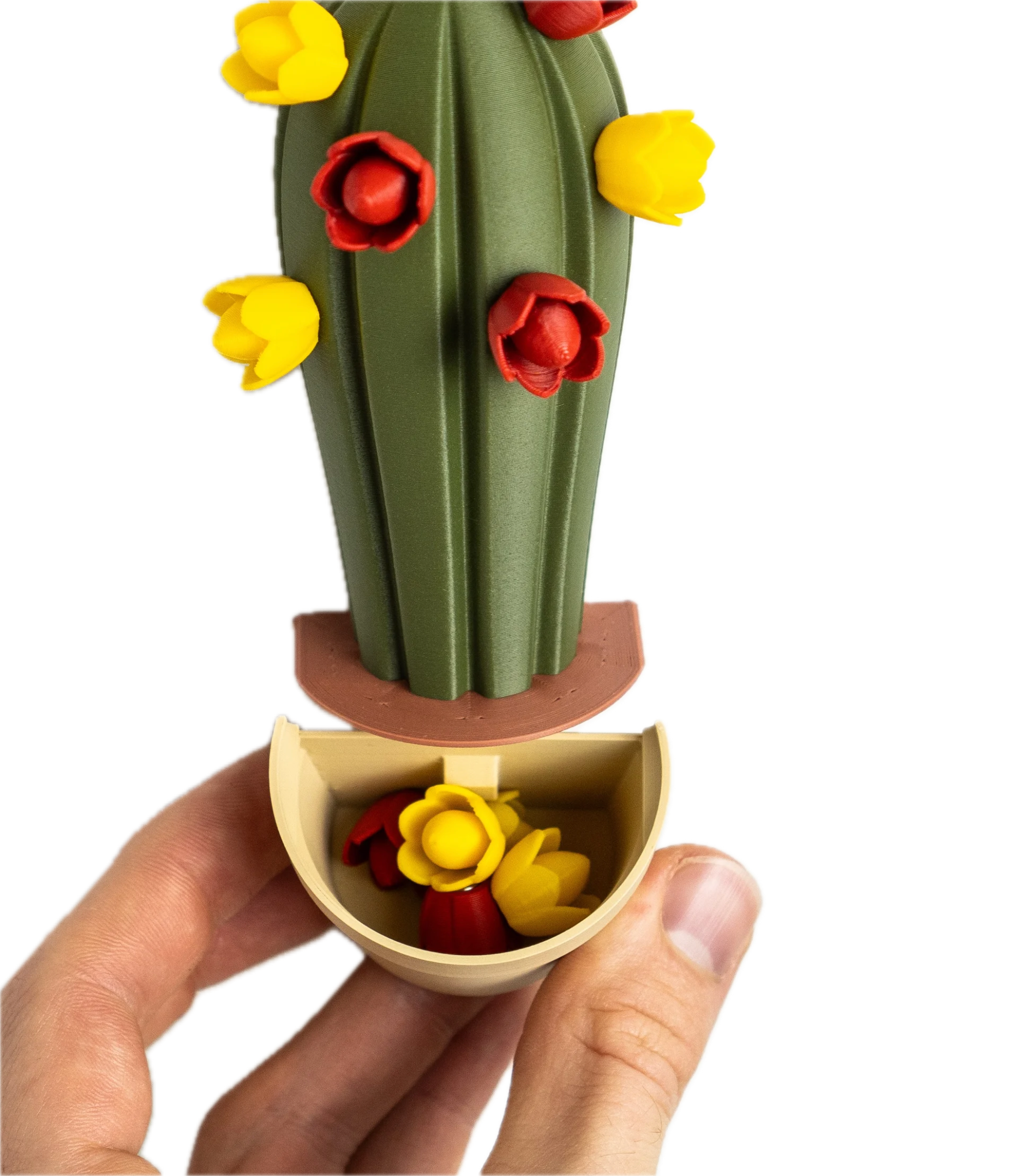 Imanes Decorativos Para Refrigerador en forma de Cactus-2