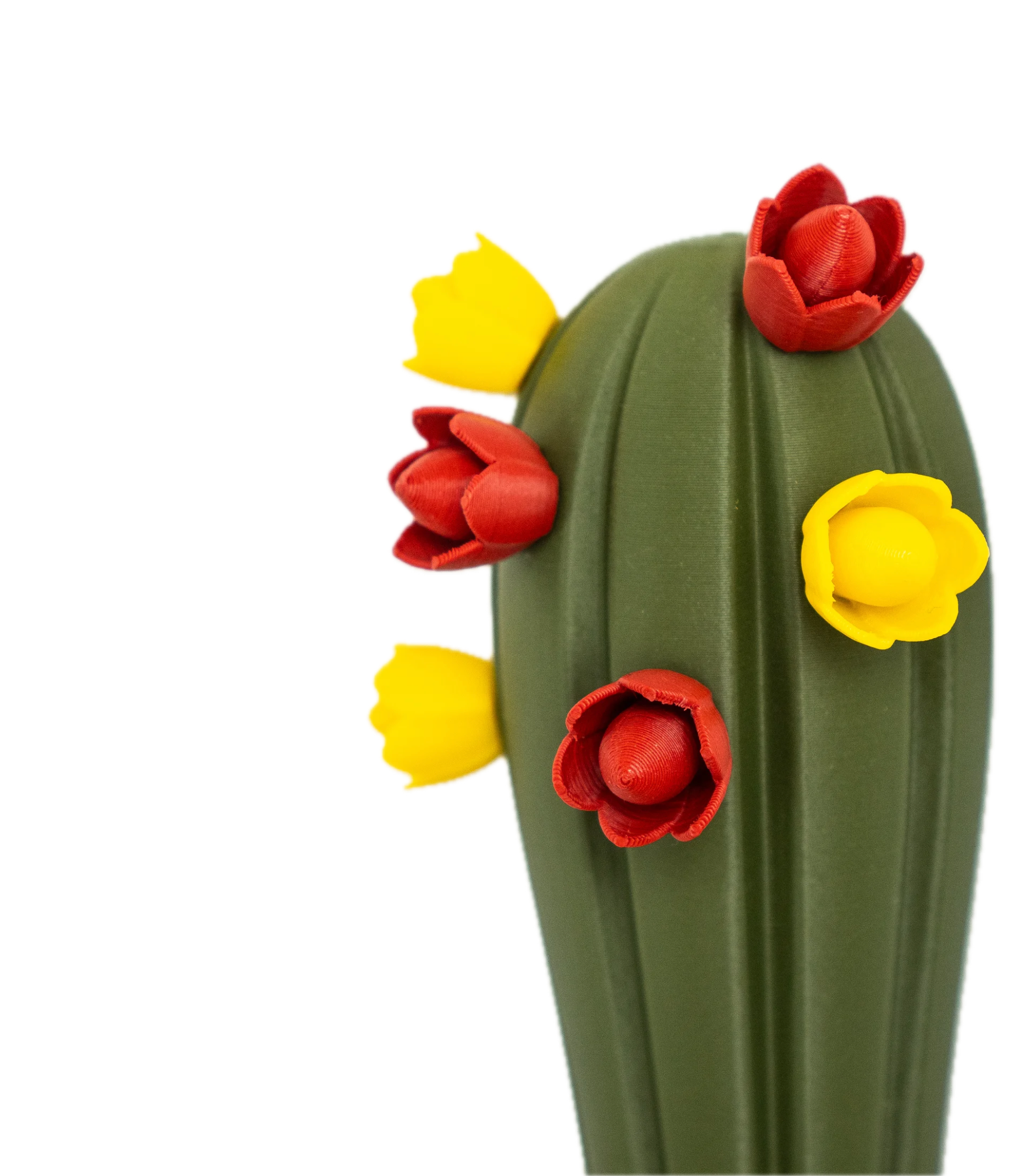 Imanes Decorativos Para Refrigerador en forma de Cactus-3