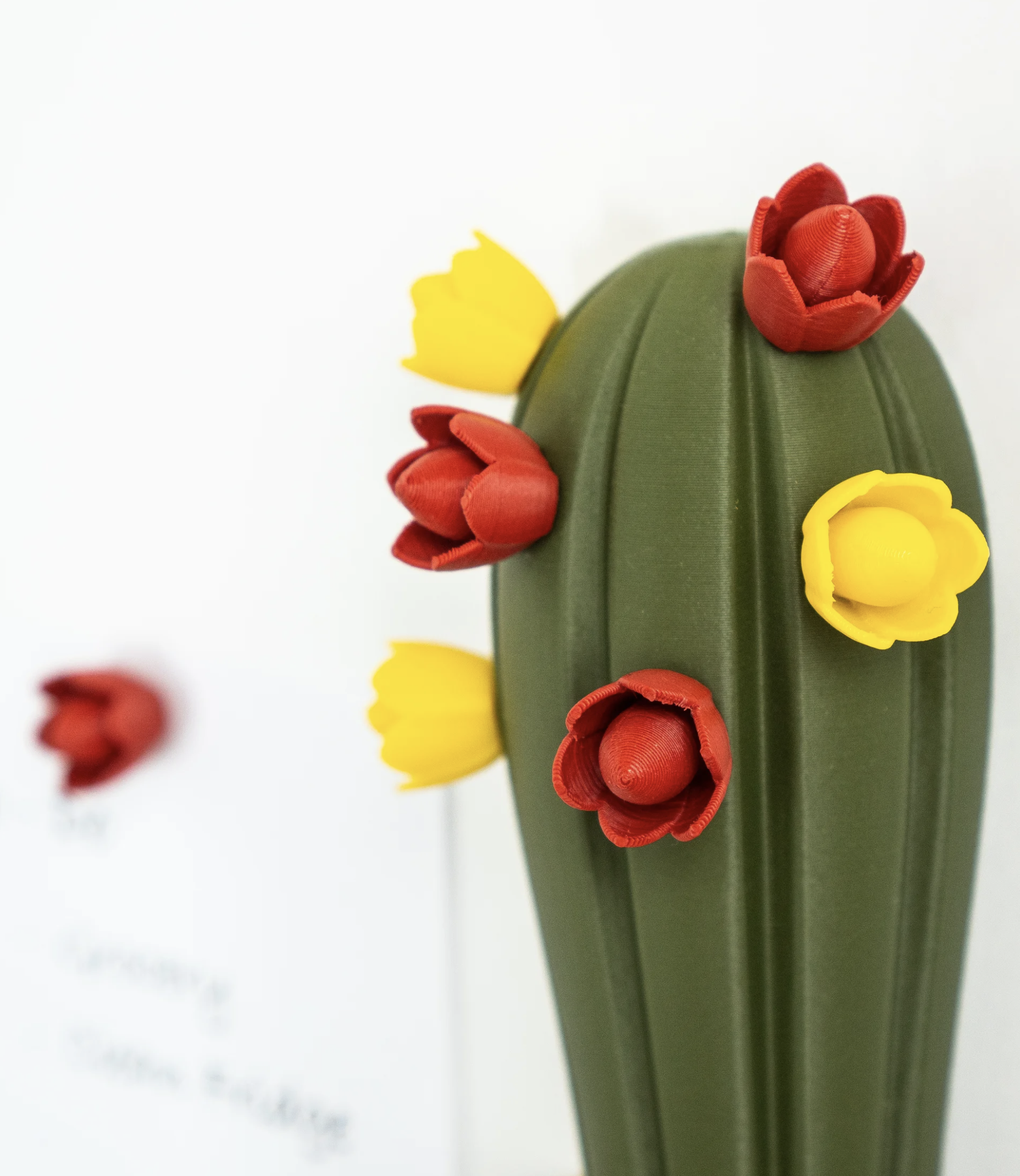 Imanes Decorativos Para Refrigerador en forma de Cactus-4