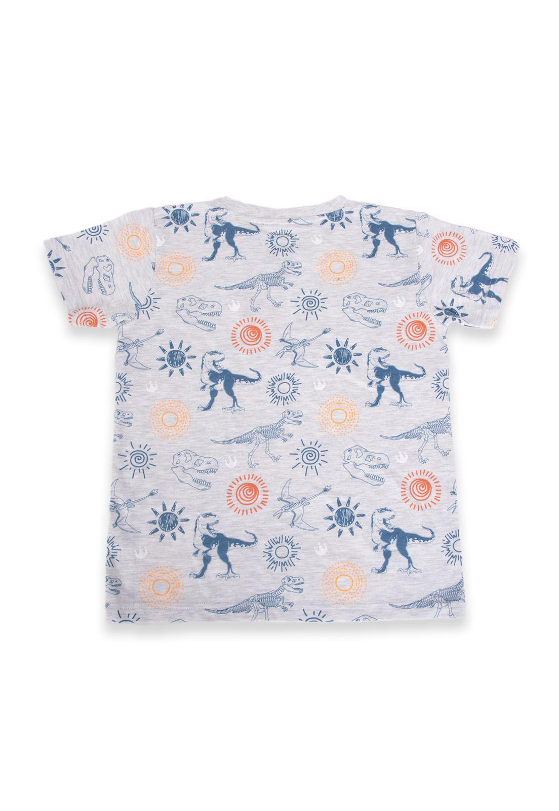Polera Niño Gris claro Pillin-3
